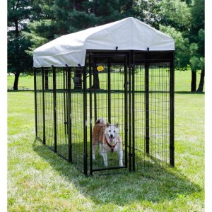 Black Welded Wire Dog Kennel 2.4m x1.83m x1.2m(WP861)